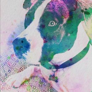 Meet your Posher, Claire Agnes